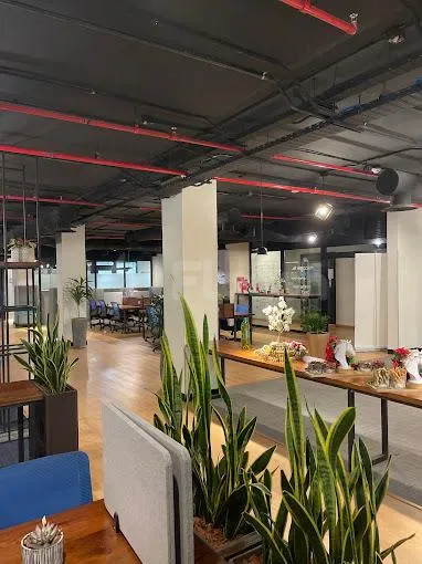 Open-plan meeting room at Basix Coworking Space Jeddah featuring exposed ceiling pipes with red accents and potted snake