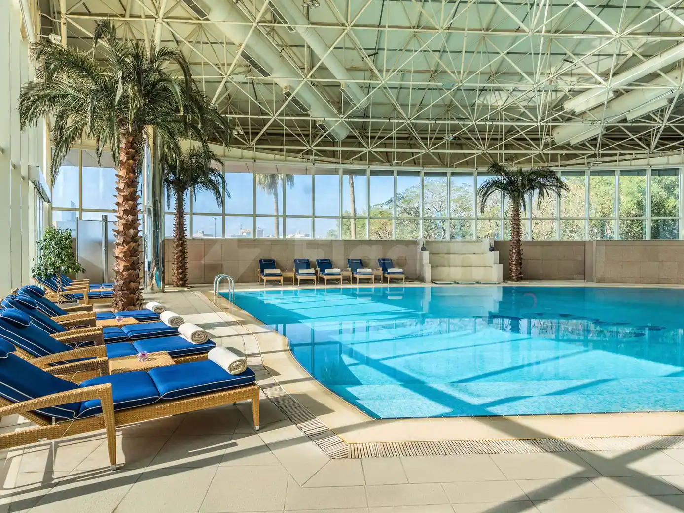 Indoor swimming pool at Movenpick Hotel AlKhobar in Dammam featuring palm trees and a metal truss ceiling