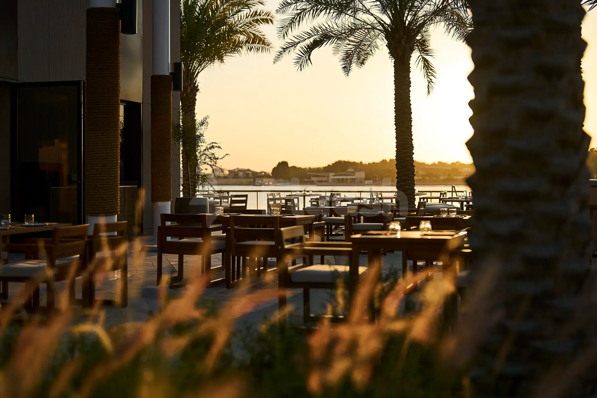 Rooftop terrace at Ergon Deli & Cafe Abu Dhabi featuring palm trees, rope-wrapped columns, and a waterfront view