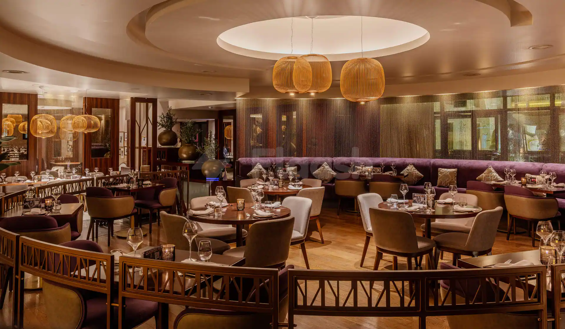 Ashas Restaurant Dubai features a warmly lit dining room with purple velvet banquettes and woven pendant lights hanging