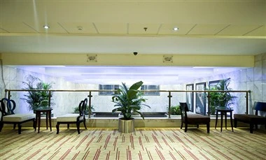 Lobby at Al Waha Palace Hotel, Riyadh, featuring patterned carpeting and potted plants near glass doors