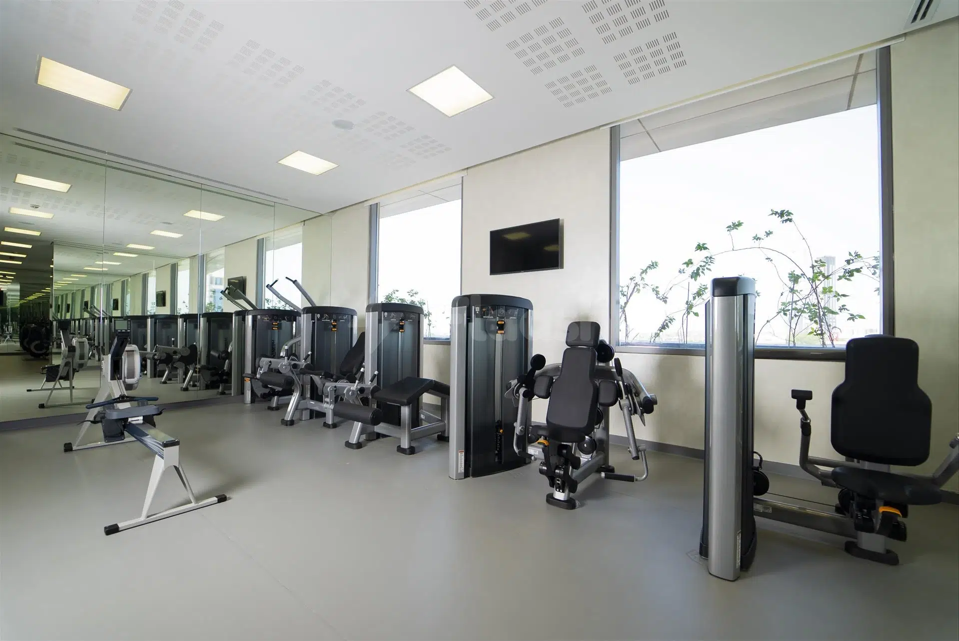 Fitness center at Dana Rayhaan by Rotana, Dammam, featuring mirrored walls and large windows overlooking greenery