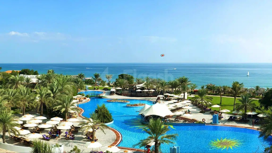 Poolside lounge at Le Méridien Al Aqah Beach Resort, Fujairah, with sunbeds and palm trees facing