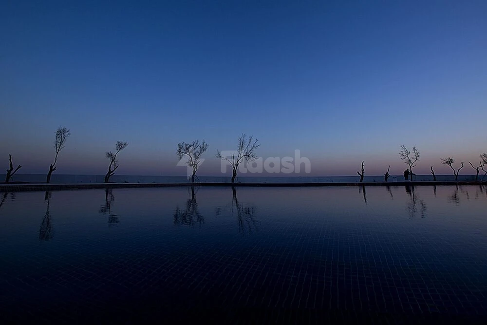 Infinity pool at Liwa Hotel, Abu Dhabi, reflecting silhouetted trees against twilight sky