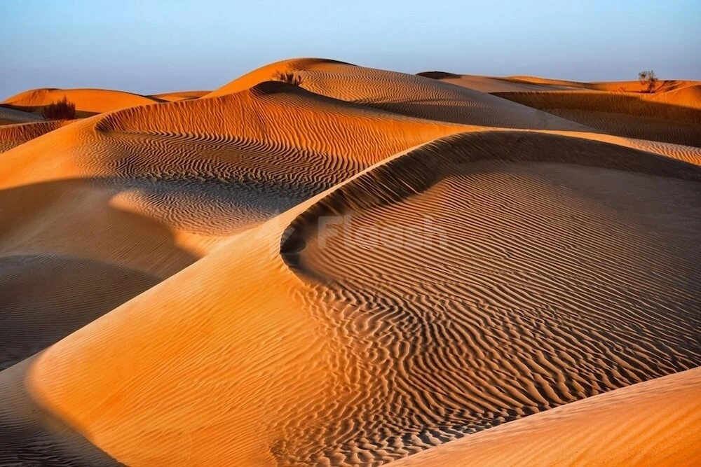 Desert dunes at Aldhafra Resort, Vignette Collection, an IHG Hotel, Abu Dhabi, with rippled sand patterns under golden