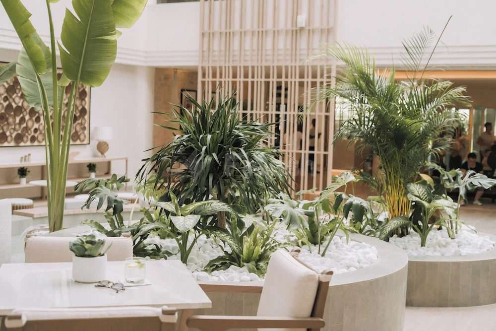 Lobby at Fujairah Rotana Resort & Spa - Al Aqah Beach, Fujairah, with lush tropical plants and white pebble beds